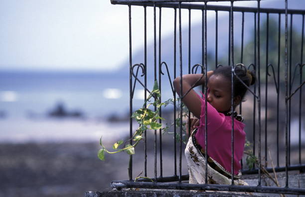 africa comoros anjouan - junge imagens e fotografias de stock