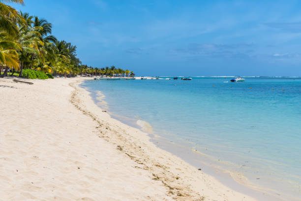 istock Exotic tropical holidays - Mauritius island 641971516