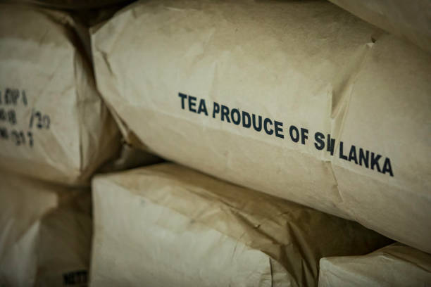 tea factory warehouse in Nuwara Eliya region, Sri Lanka