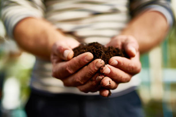 The promise of life Closeup shot of a man holding a handful of soil handful stock pictures, royalty-free photos & images