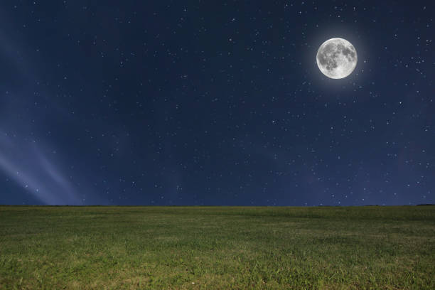 istock Night sky meadow background with moon and stars. Full moon. 641973328