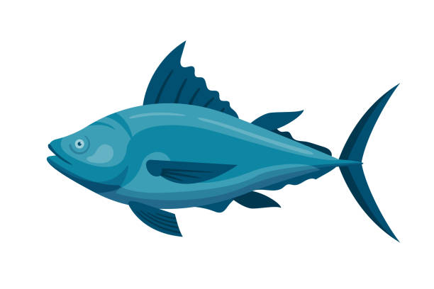 иллюстрация вектора морского тунца - fish tuna splashing bluefin tuna stock illustrations