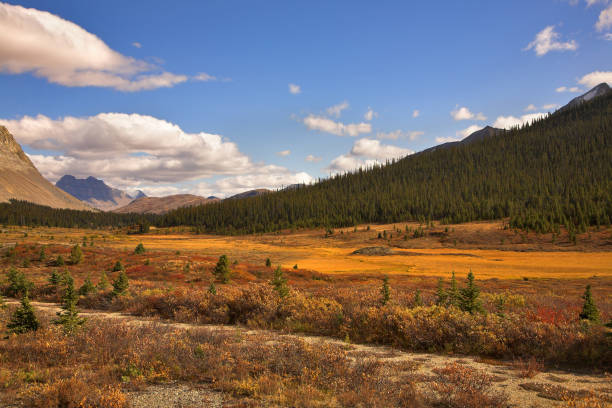 istock Steppe and mountains in the autumn. 641976656