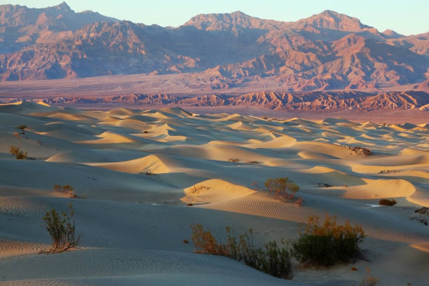 istock The Mesquete Flat Sand Dunes 641976722