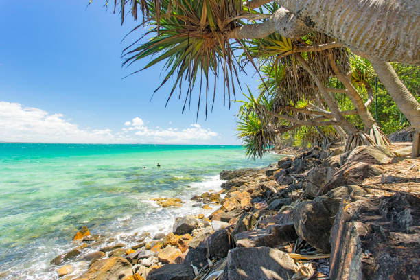 noosa an der sunshine coast von queensland, australien - coastline noosa heads australia landscape stock-fotos und bilder