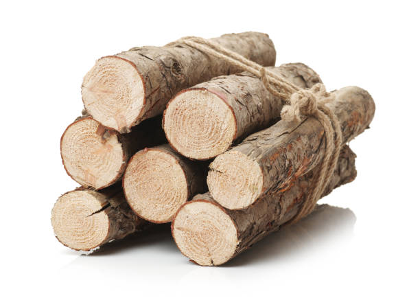 istock Pine logs wood isolated on white background 641988828