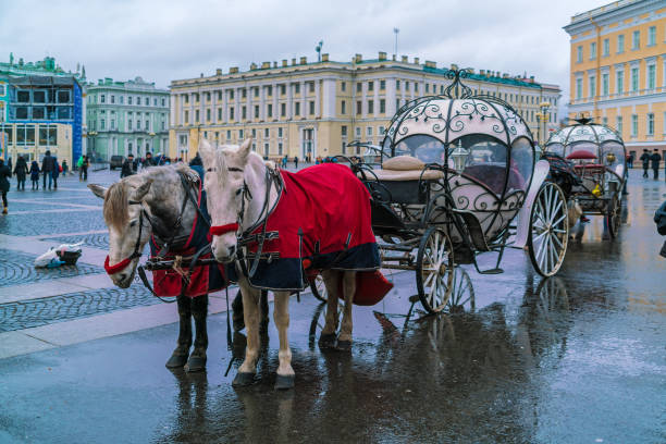 saint petersburg, russia - december 25, 2016:  ancient carriages with horses in the palace square - museum monument silhouette tree imagens e fotografias de stock