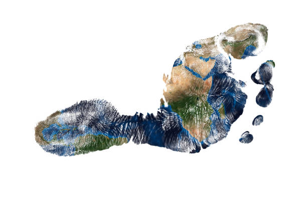 реальный отпечаток детской ноги с картой мира, изолированной на белом фоне - 6728 стоковые фото и изображения