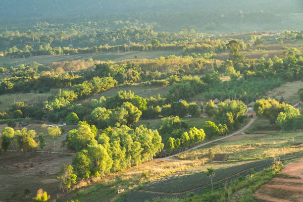 istock View from above of a green large forest with mountains 641994956