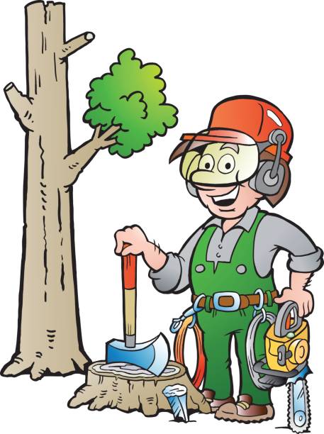 Vector Cartoon illustration of a Happy Working Lumberjack or Woodcutter Cartoon illustration of a Happy Working Lumberjack or Woodcutter Chest Protector stock illustrations