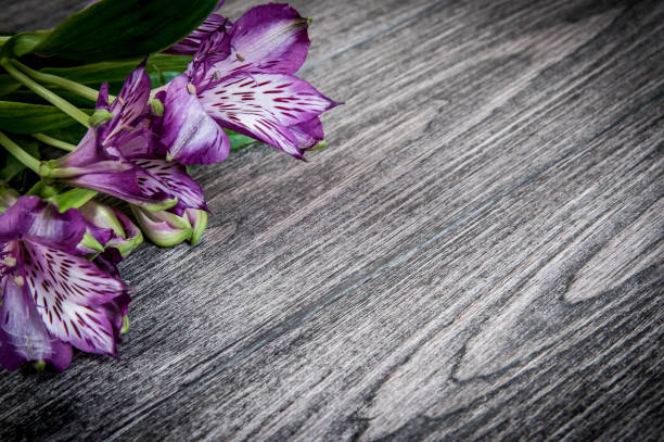 istock flowers on wooden background. Free space for text, closeup 642005928