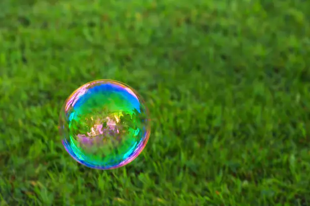 The rainbow soapbubble .Soapbubble isolated on green natural background.