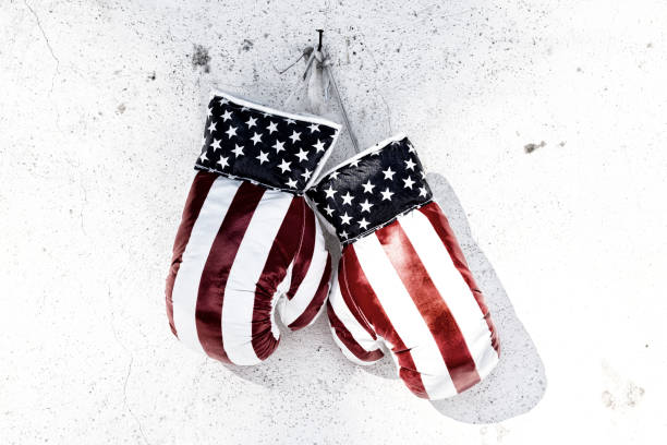 istock Pair of boxing gloves 642007420