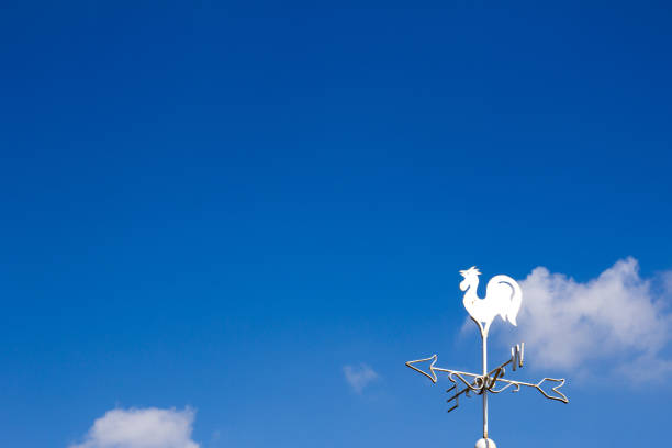 istock White rooster weather vane show the wind direction on blue sky background 642009022