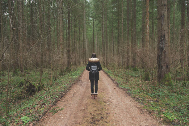 istock Adventure in nature among high trees 642014176