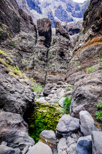 istock famous masca gorge - tenerife - spain 642018716