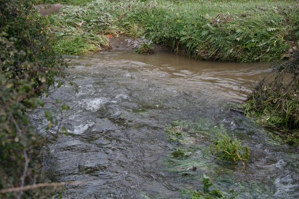 istock Pure water and polluted water that meet in the river 642021622