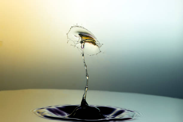 istock Collision of two drops on a surface of water 642030986