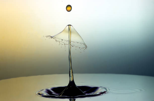 istock Collision of two drops on a surface of water 642030996
