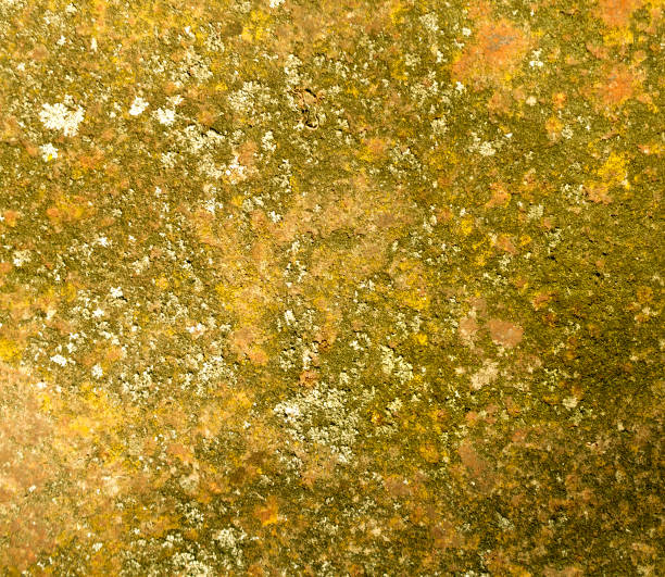 vecchio arrugginito metallo texture - 5487 foto e immagini stock