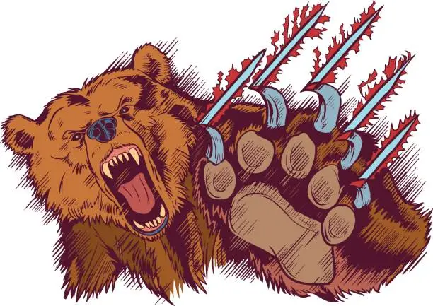 Vector illustration of Brown Bear Mascot Slashing or Clawing Vector Cartoon