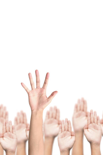 istock Business crowd raising hands high up on white background. 642033484