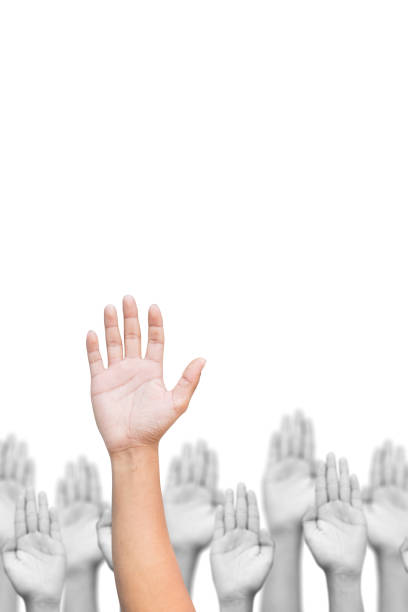 istock Business crowd raising hands high up on white background. 642033540