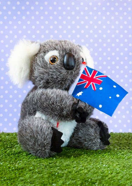 istock Toy koala with Australian flag 642036750
