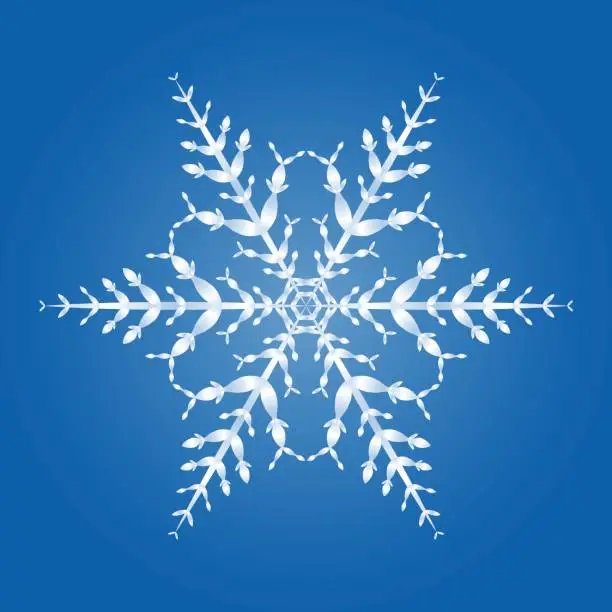 Vector illustration of Snow Flake Single Crystal