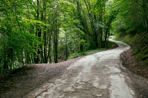 istock A glimpse at a Catalonia mountain forest road 642039756