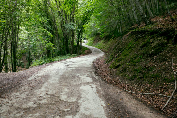 istock A glimpse at a Catalonia mountain forest road 642039758