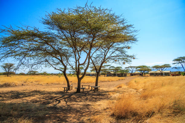 istock A view of african savannah 642042226