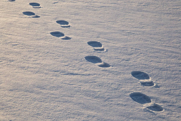 istock Fresh boots footprints in the snow on the lake ice. 642043392