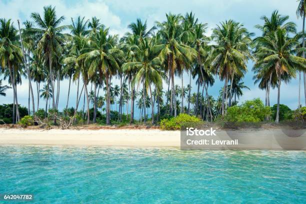 Tropical Beach And Coconut Palms In Koh Samui Thailand Stock Photo - Download Image Now
