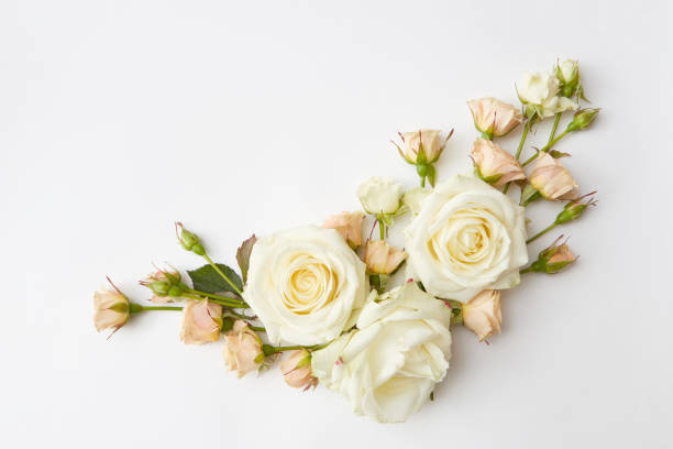 istock frame of a beautiful roses 642051644
