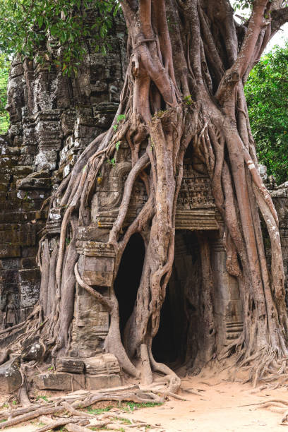 istock Angkor Wat, Cambodia - December 6, 2016: Galleries and tourists 642051760