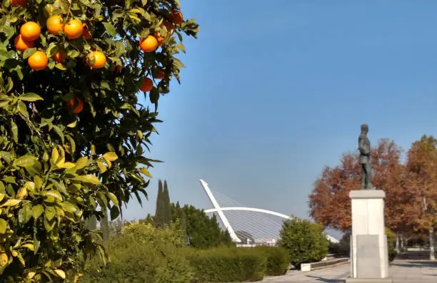 Orange trees and waterfront park with statuary along river with Puente del Alamillo in background Seville Spain