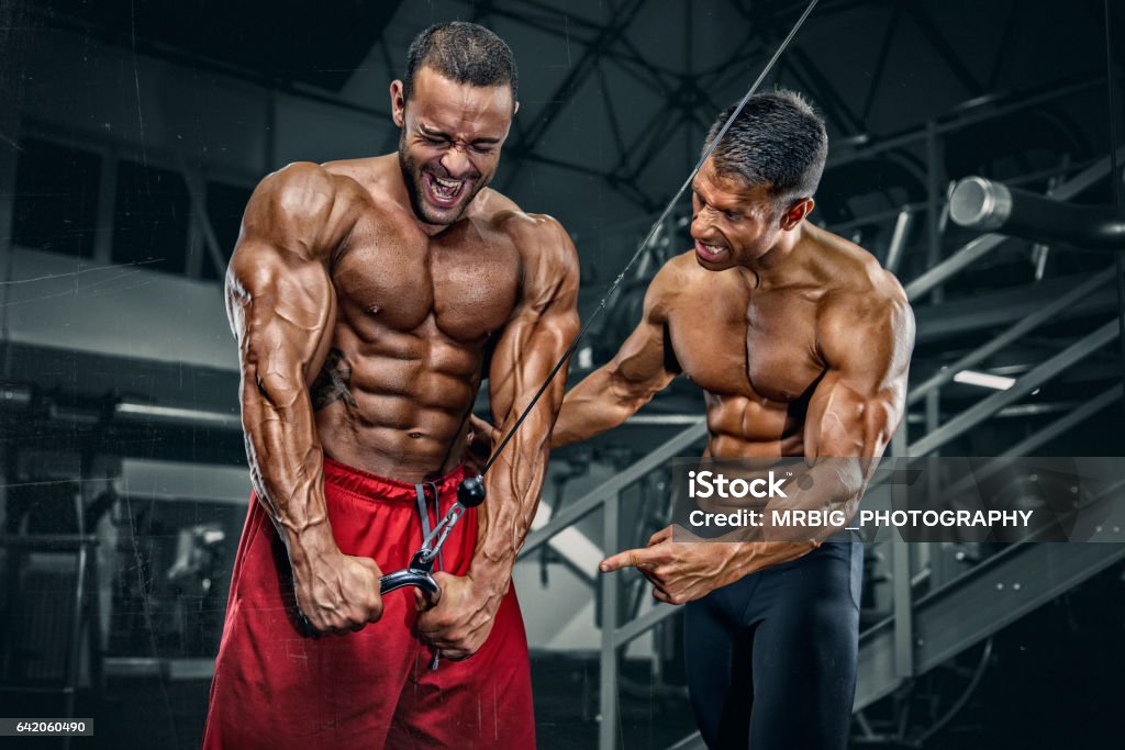 Body Builders Workout At The Gym Stock Photo - Download Image Now - Body  Building, Gym, Health Club - iStock