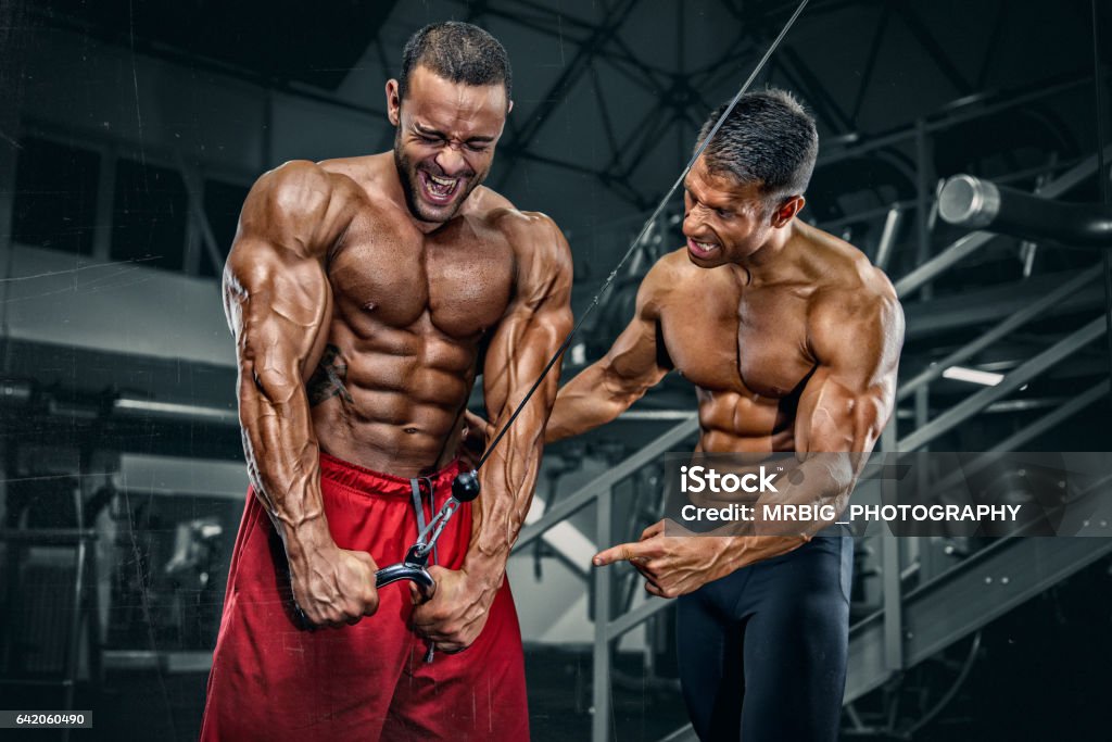 Exercício dos construtores de corpo na ginástica - Foto de stock de Musculação royalty-free