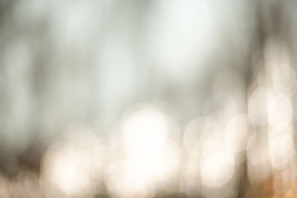 Beautiful Nature blurred light abstract background - Natural outdoors bokeh background with soft effect