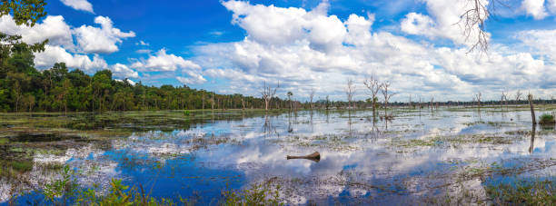 istock Lake in the Angkor Wat heritage. Panorama 642064782