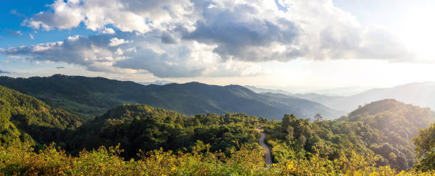 istock View of mountain peaks, coniferous tropical forest. Panorama 642064814