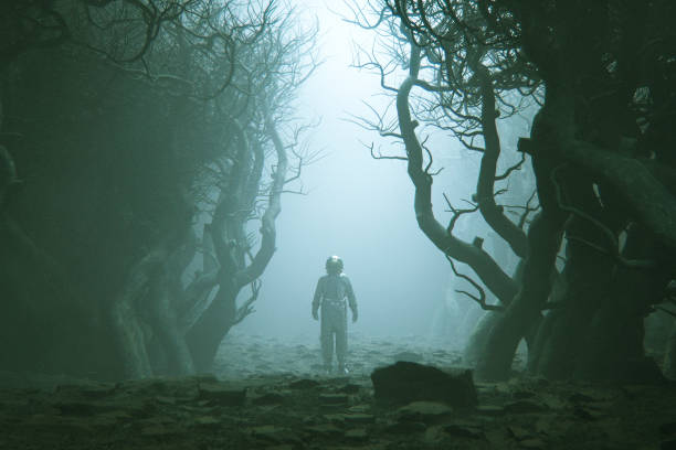 астронавт заблудился в туманном лесу. - discovery forest lost confusion стоковые фото и изображения