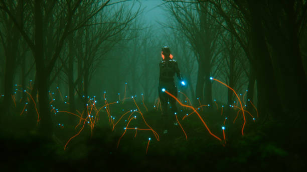 istock Spooky foggy forest with mysterious alien plants 642066452