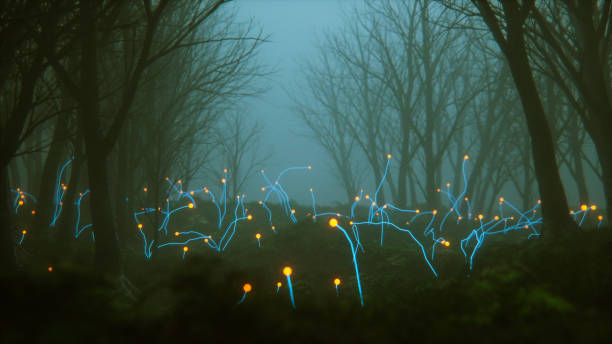 istock Spooky foggy forest with mysterious alien plants 642066482