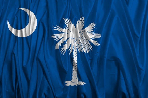 istock US state flag of South Carolina 642067190