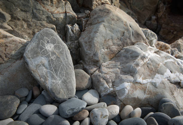 istock flower illustration scrached into a stone on the beach 642068880