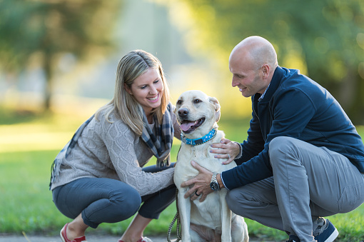 Young couple walking dog on beautiful summer evening