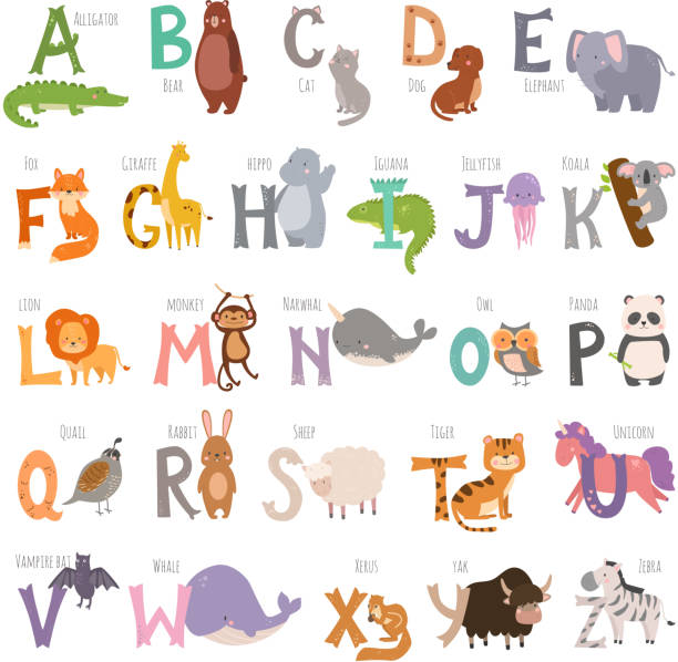 Cute zoo alphabet with cartoon animals isolated on white background and grunge letters wildlife learn typography cute language vector illustration Cute zoo alphabet with cartoon animals isolated on white background and grunge letters wildlife learn typography cute language vector illustration. Nature wild study education font. african ground squirrel stock illustrations