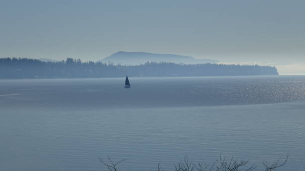 istock Sailboat and a beautiful Sea Landscape 642071848
